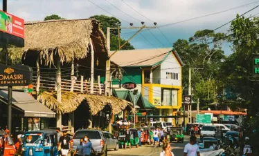 Ella City Tours