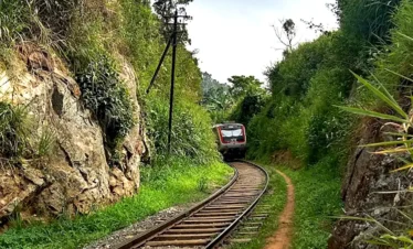Ella City Tours