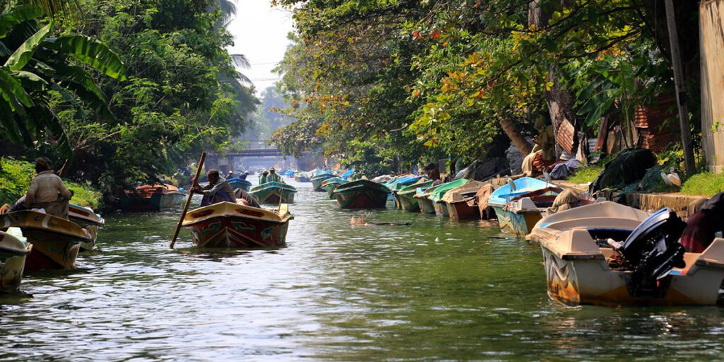 Negombo Trip