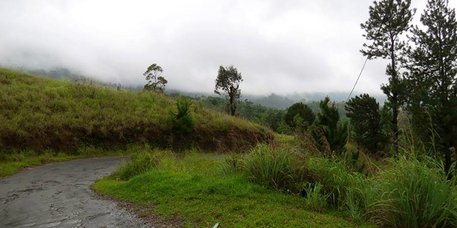 Kandy City Trip