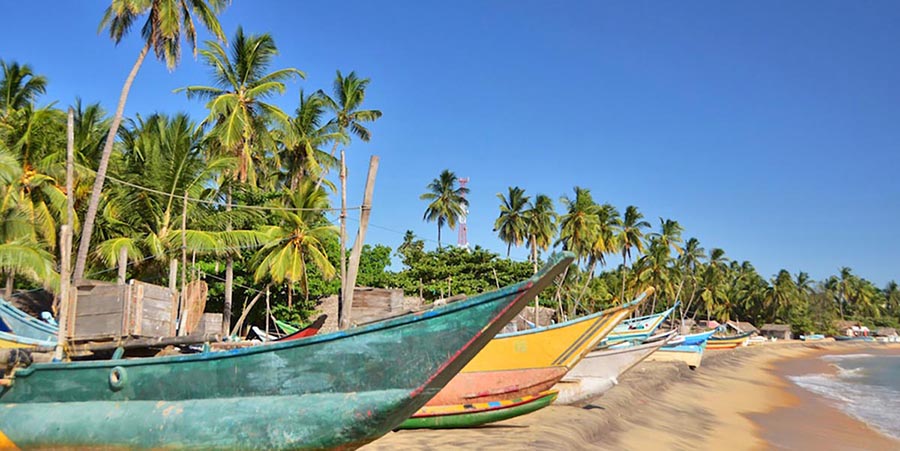 Arugam Bay Beach Trips