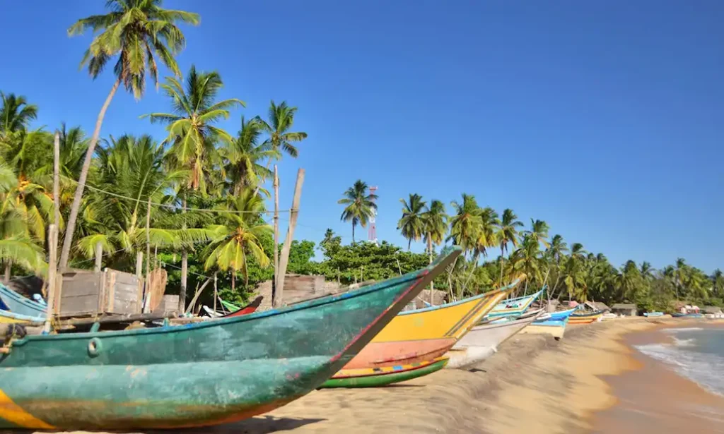 Arugam Bay Beach Trips