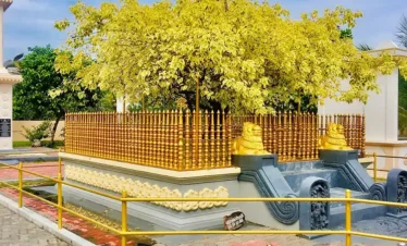 Nagadeepa Purana Vihara Trips