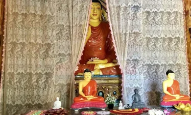 Nagadeepa Purana Vihara Trips