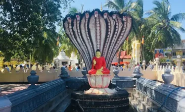 Nagadeepa Purana Vihara Trips
