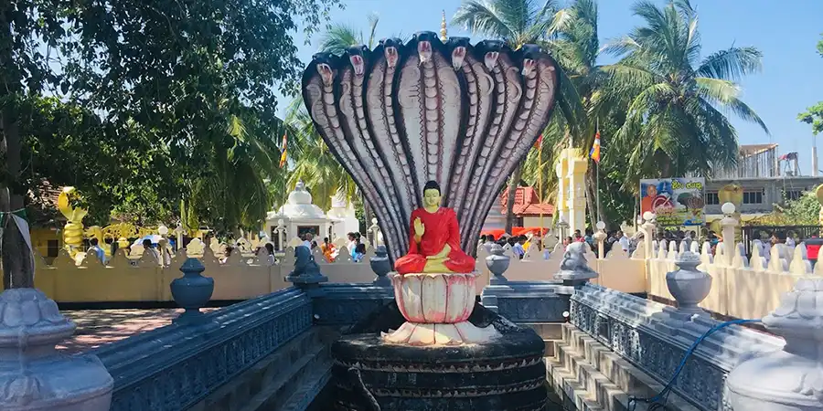 Nagadeepa Purana Vihara Trips