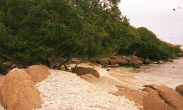 Pigeon Island Trips
