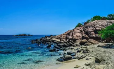 Pigeon Island Trips