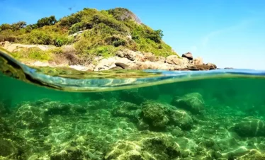 Pigeon Island Trips