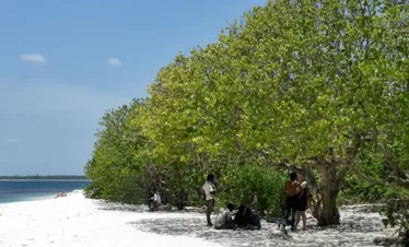 Pigeon Island Trips