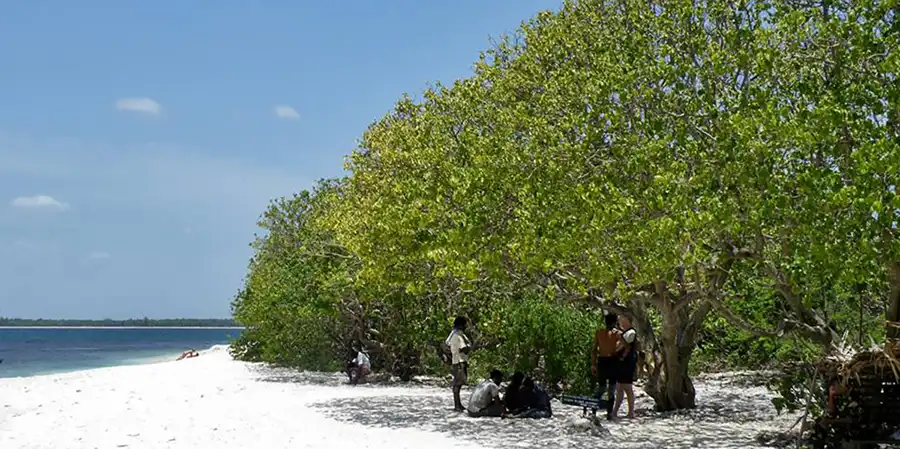 Pigeon Island Trips