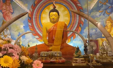 Ruwanweli Maha Seya Trips