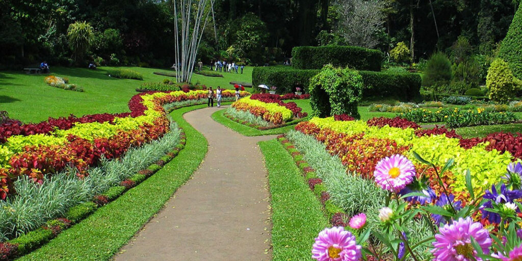 Royal Botanic Gardens, Peradeniya Trips