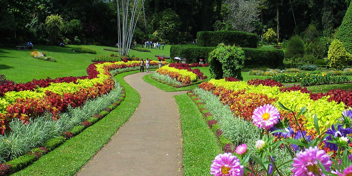 Royal Botanic Gardens, Peradeniya Trips