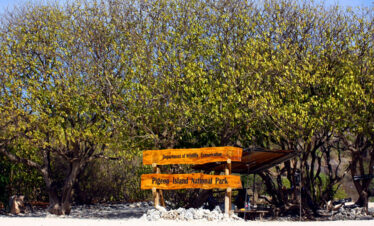 Pigeon Island Trips