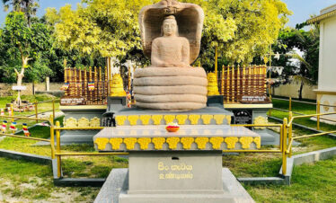 Nagadeepa Purana Vihara Trips