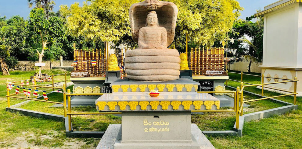 Nagadeepa Purana Vihara Trips