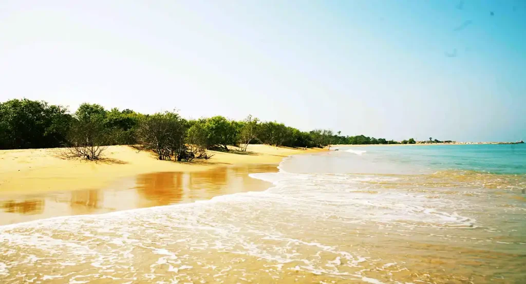 Kalpitiya Beach Tours