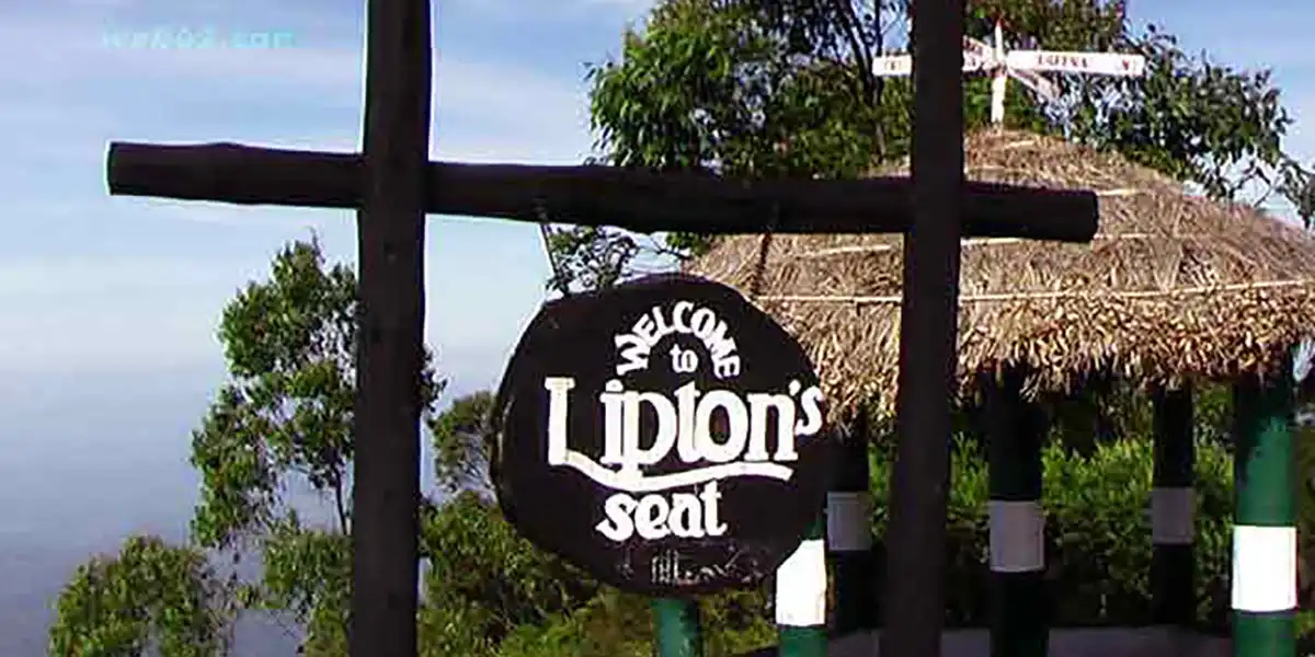 Lipton Seat Tours