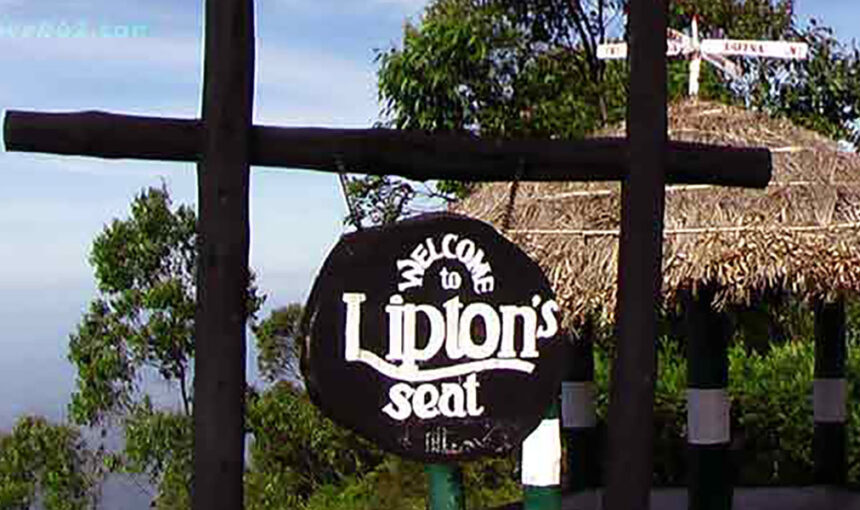 Lipton’s Seat