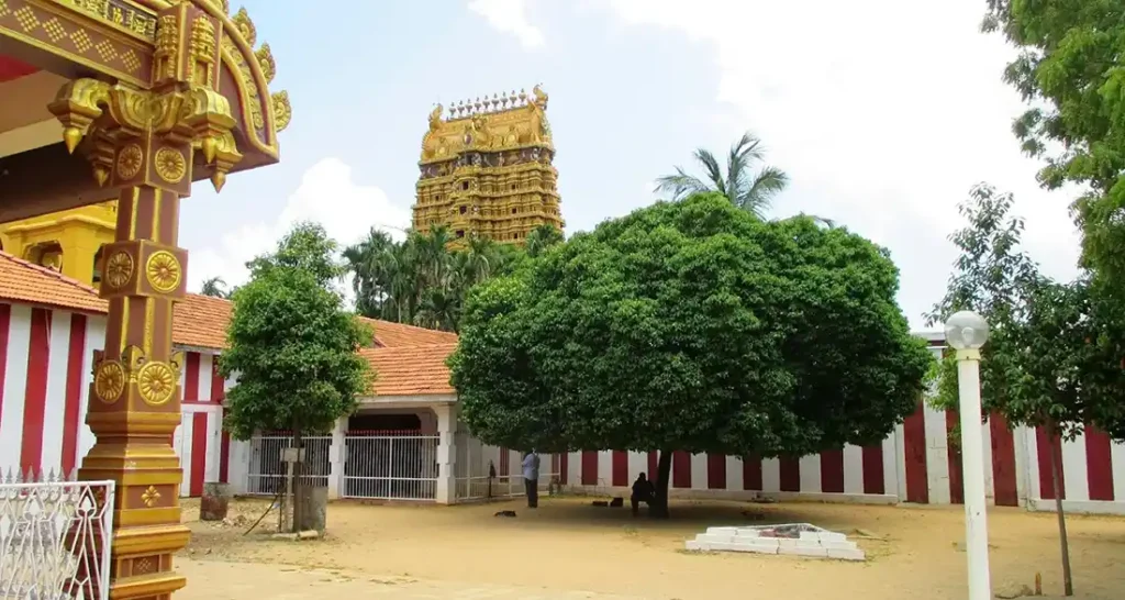 Nallur Kandaswamy Devasthanam Tours