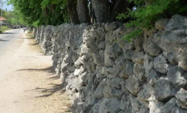 Neduntheevu island Trips
