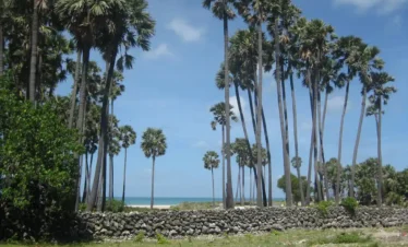 Neduntheevu island Trips