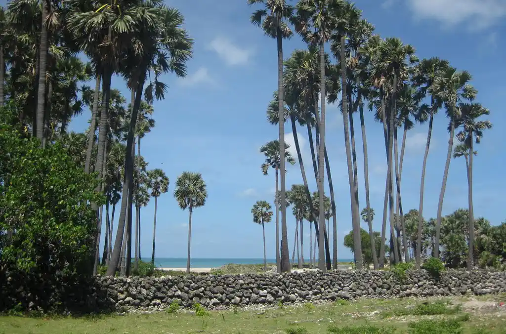 Neduntheevu island Trips