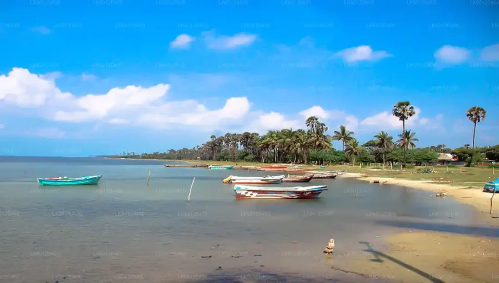 Neduntheevu island Trips