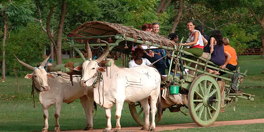 Padavigampola Village Safari