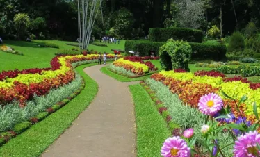Royal Botanic Gardens, Peradeniya Trips