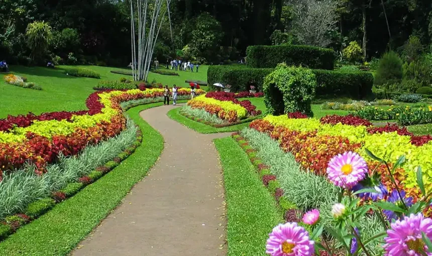 Royal Botanic Gardens, Peradeniya