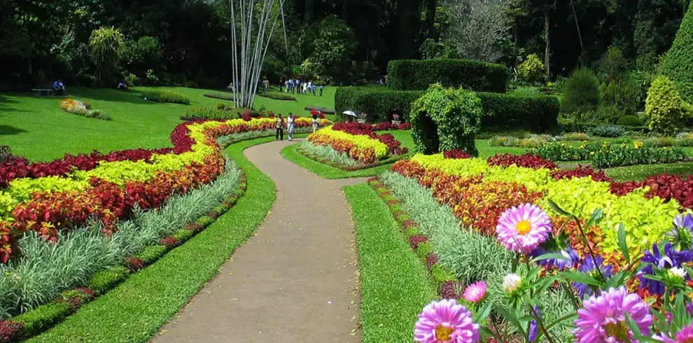 Royal Botanic Gardens, Peradeniya Trips