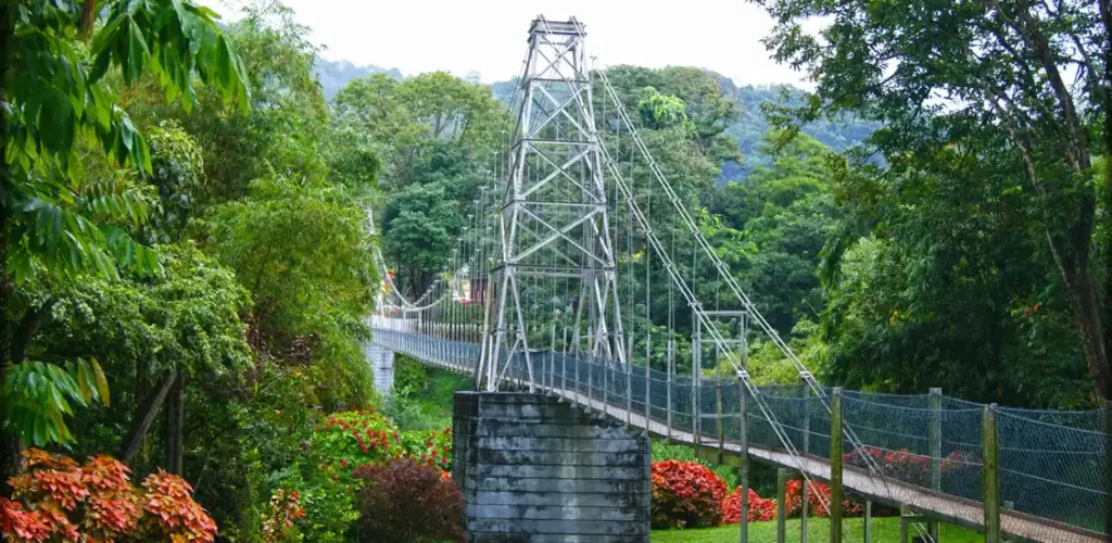 Royal Botanic Gardens, Peradeniya Trips