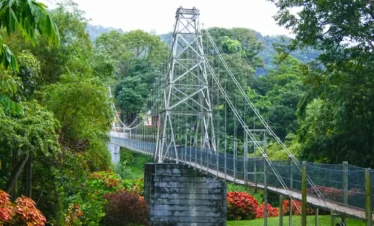Royal Botanic Gardens, Peradeniya Trips
