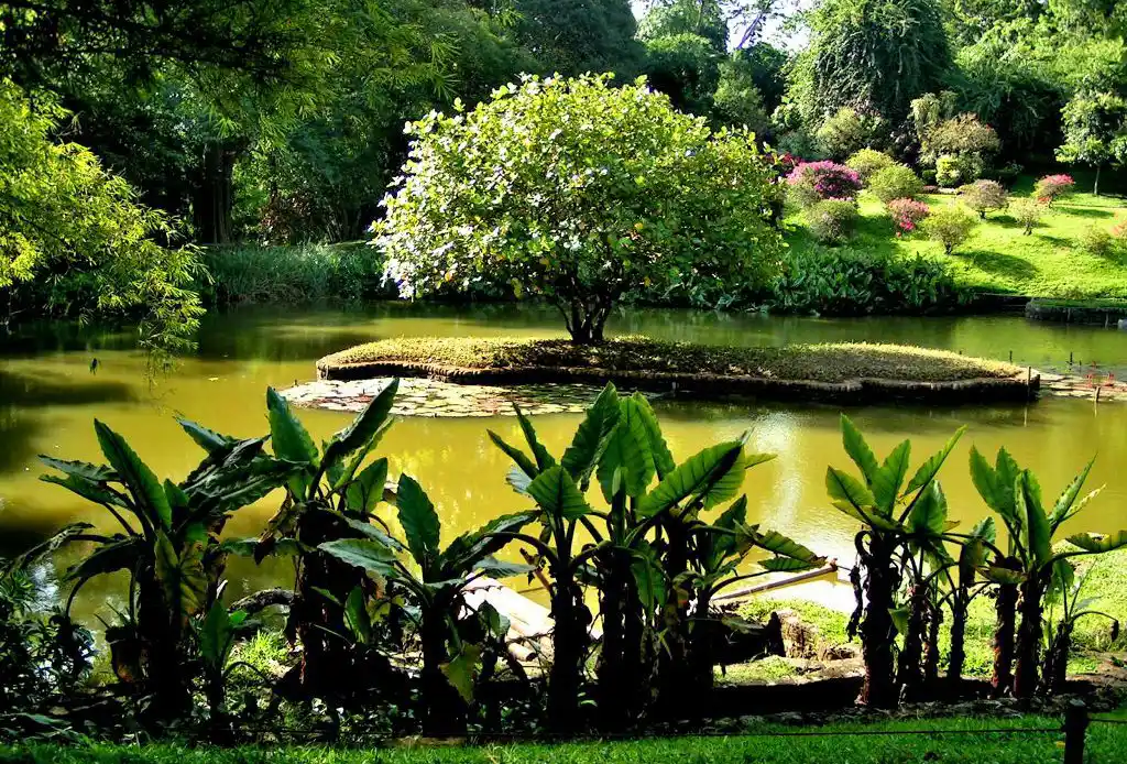 Royal Botanic Gardens, Peradeniya Trips