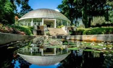 Royal Botanic Gardens, Peradeniya Trips
