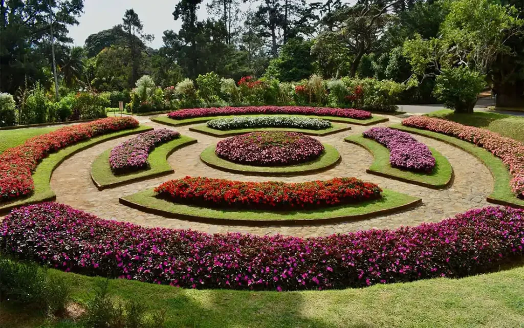 Royal Botanic Gardens, Peradeniya Trips