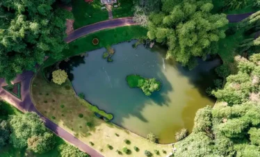 Royal Botanic Gardens, Peradeniya Trips