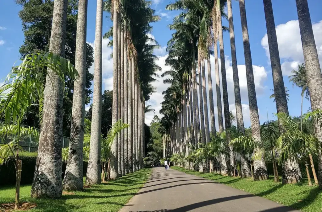 Royal Botanic Gardens, Peradeniya Trips