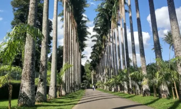 Royal Botanic Gardens, Peradeniya Trips