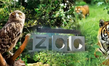 Pinnawala Open Zoo Tours