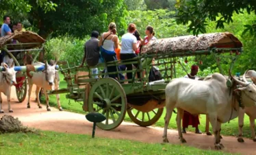 Sigiriya Village Safari