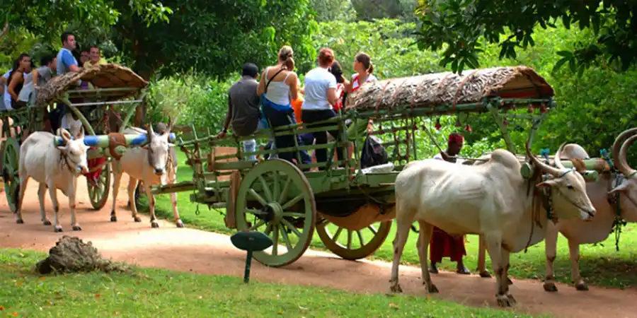 Sigiriya Village Safari