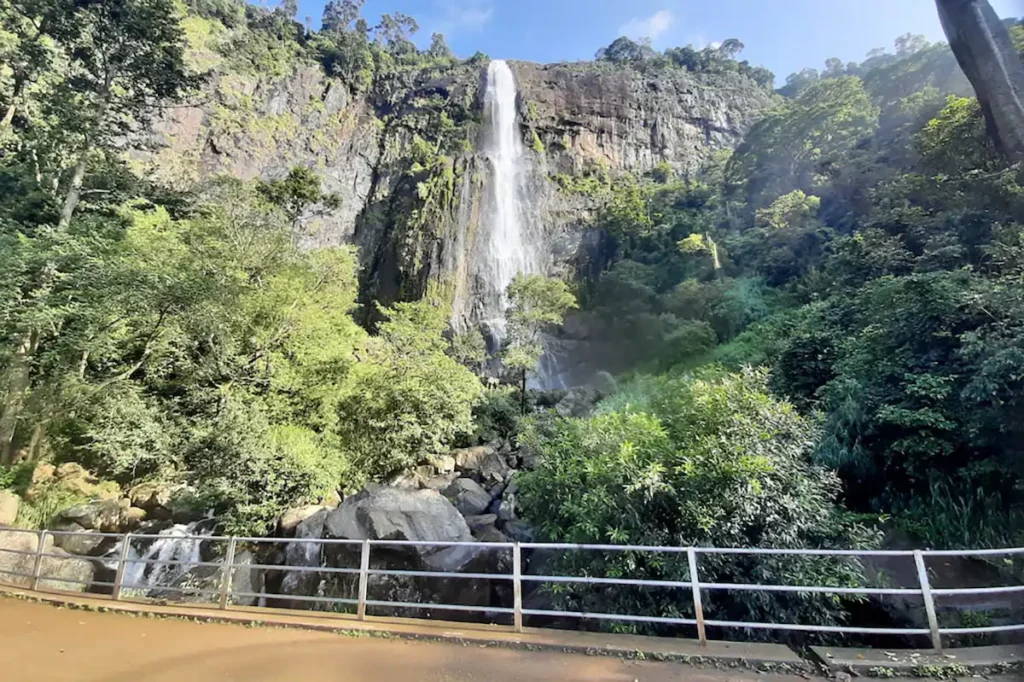 Diyaluma Fall Trips