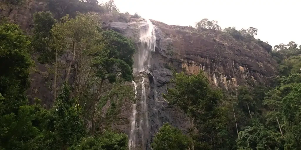 Diyaluma Fall Trips