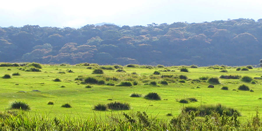 Horton Plains Trip