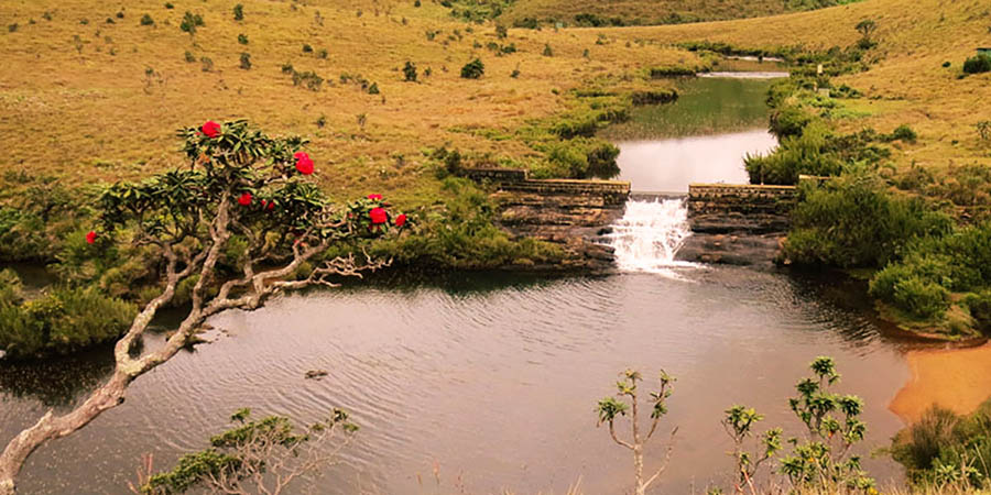 Horton Plains Trip