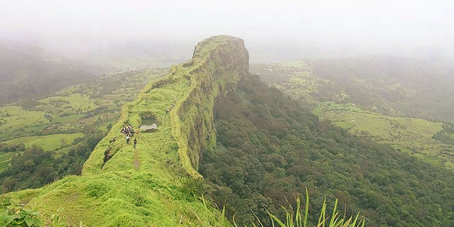 Horton Plains Trip