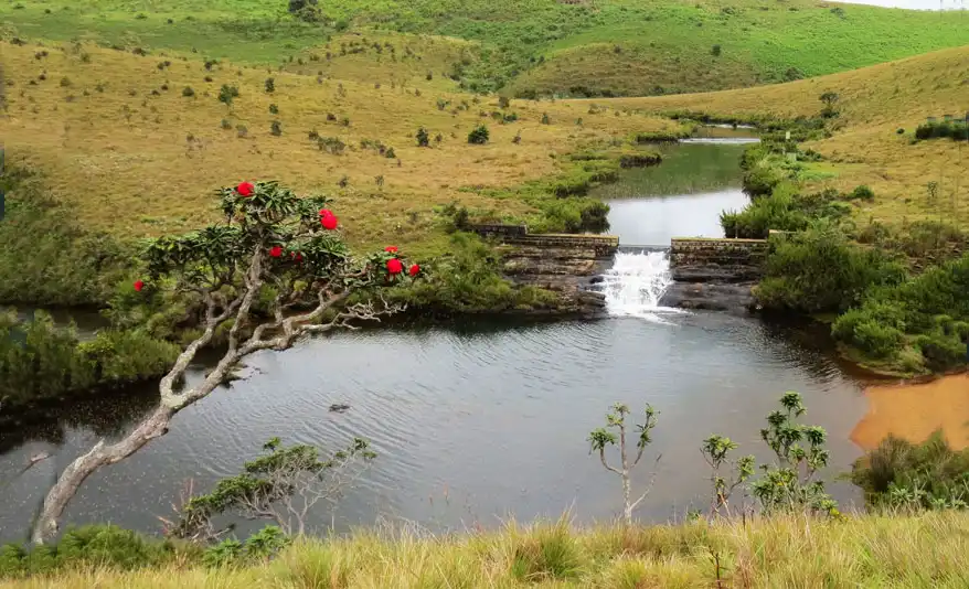 Horton Plains National Park safari